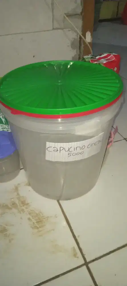 Toples es 25 liter 4pcs