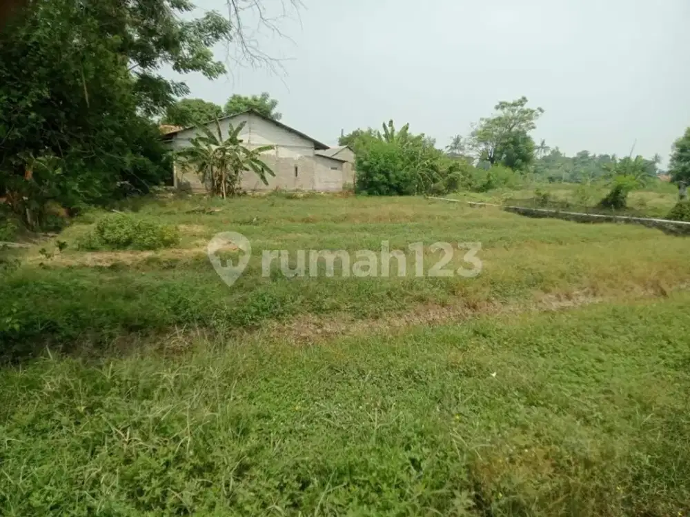 Tanah Murah di Bawah Pasaran Cocok Buat Investasi Tangerang