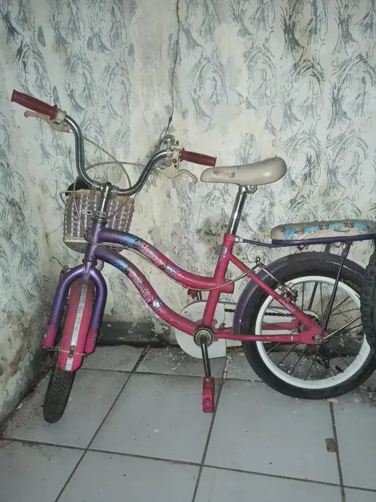 Sepeda anak layak pakai