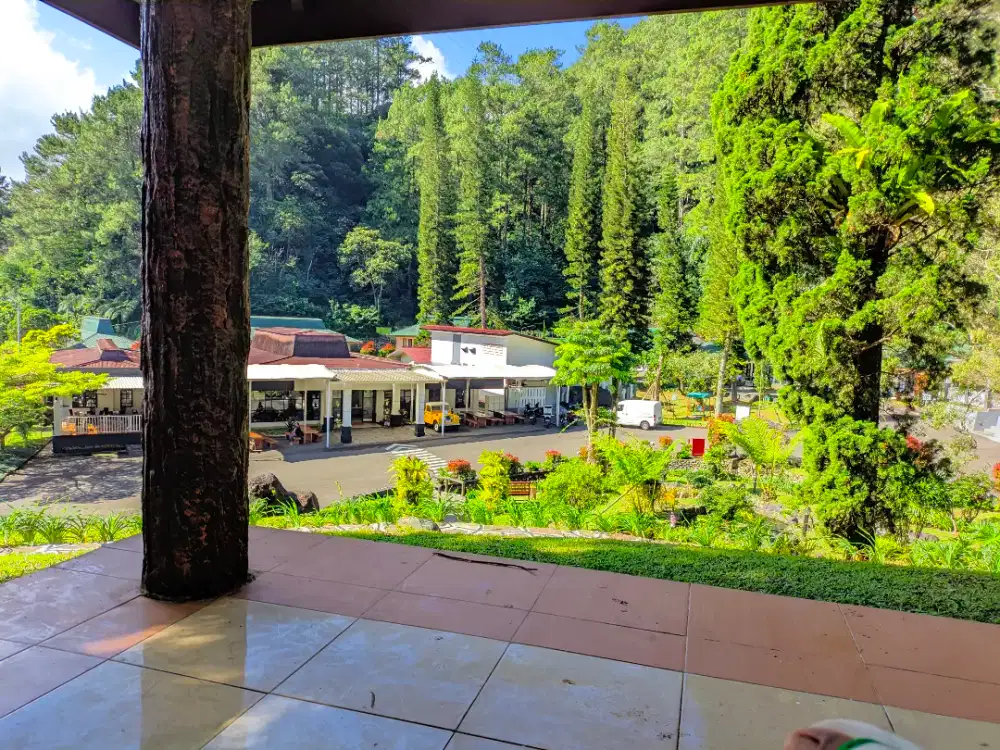 Art dan mengurus Anak