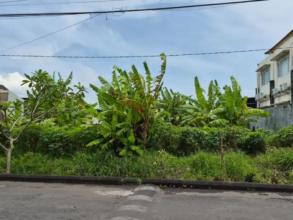 Tanah 4,6 are di Badak Agung Renon Dekat Drupadi Jayagiri Regent School