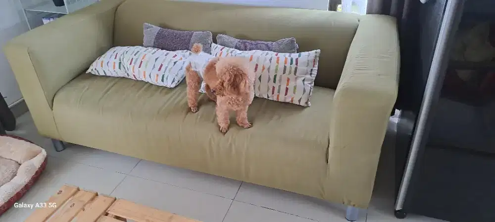 SOFA IKEA 3 SEATER MINIMALIS