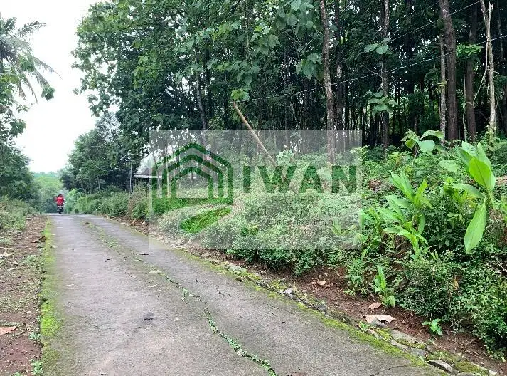 Kavling Luas Strategis Dekat Jalan DPU Free BBN