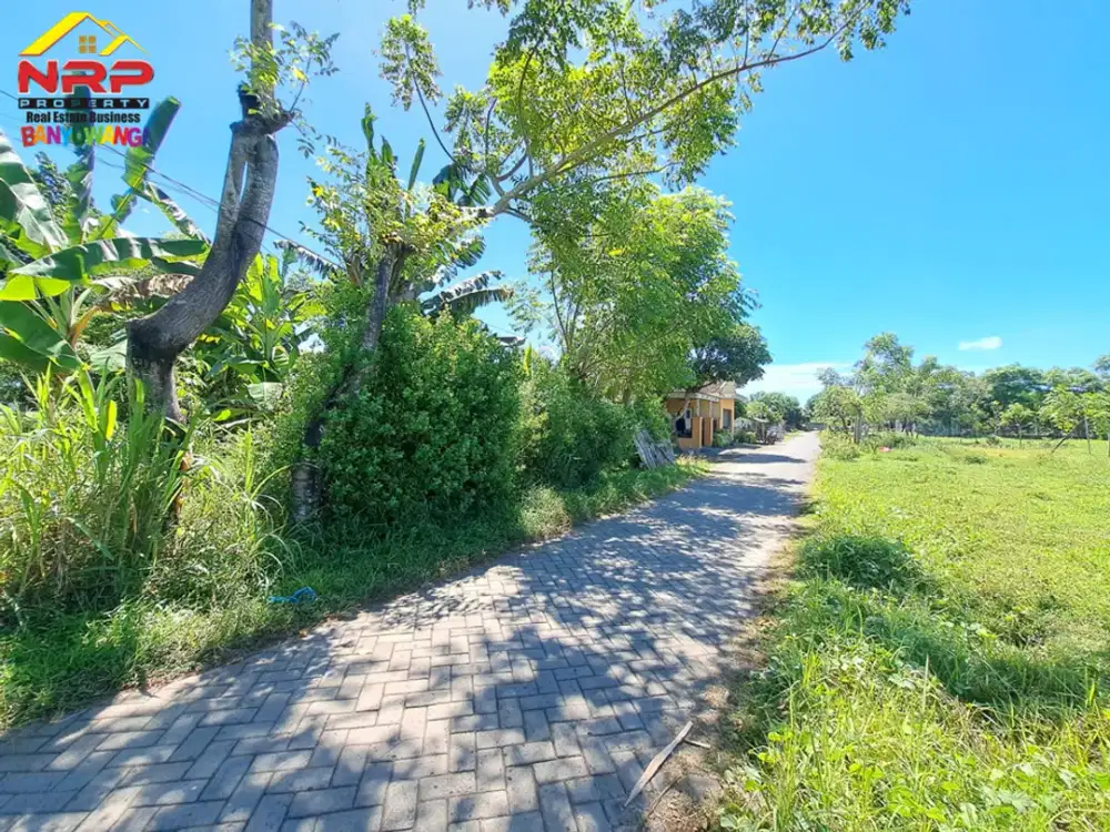 Dijual Tanah Murah Siap Bangun di Kertosari Banyuwangi