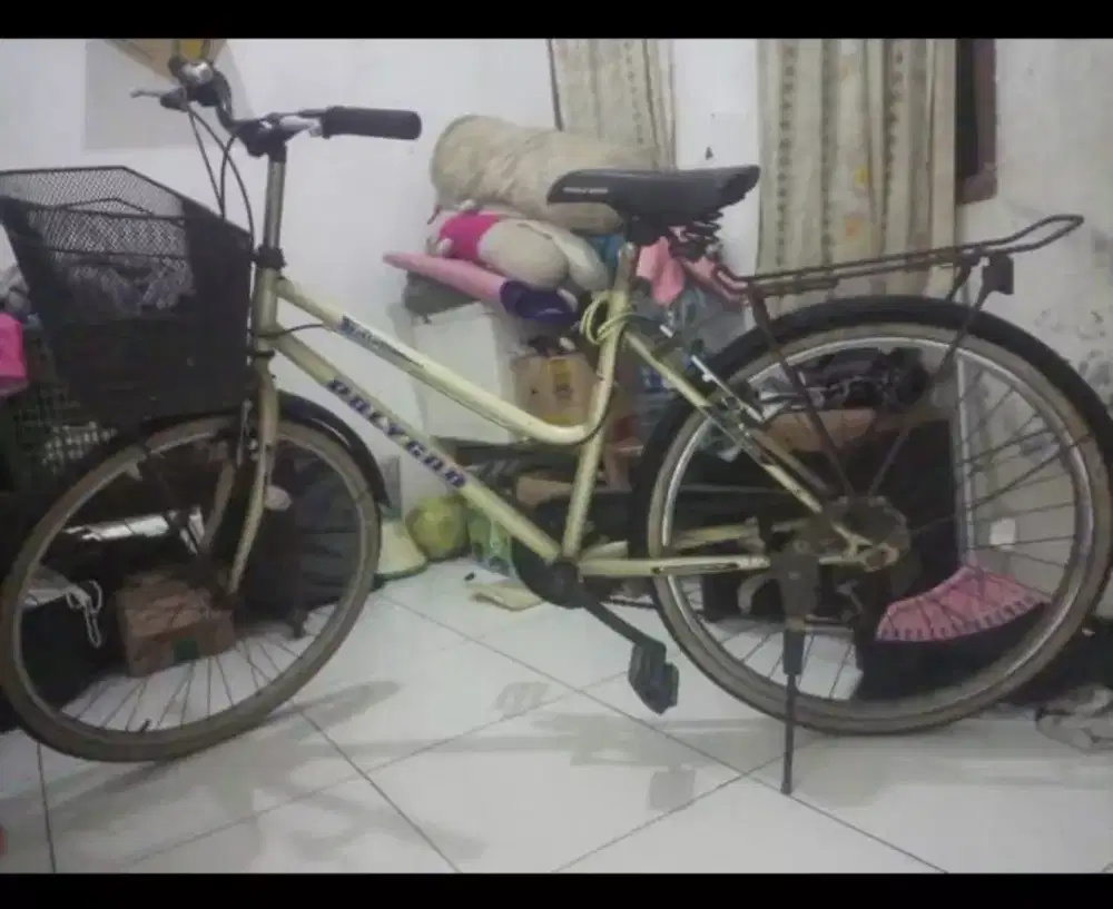 POLYGON Monggo beli pak buk