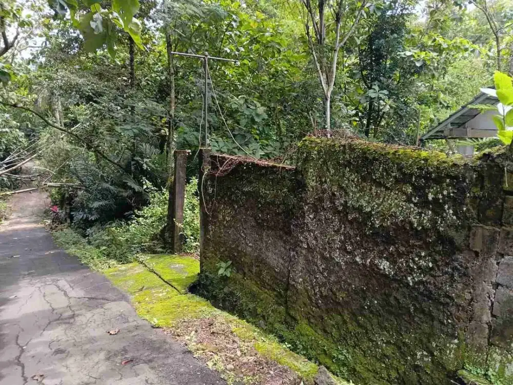 jual tanah bekas kandang kuda