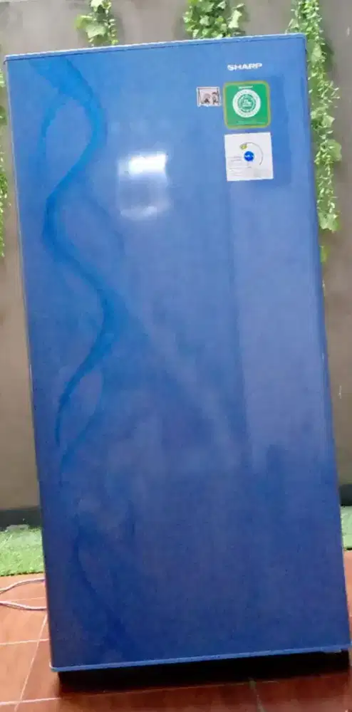 Dijual Kulkas Bekas Sharp 1 Pintu