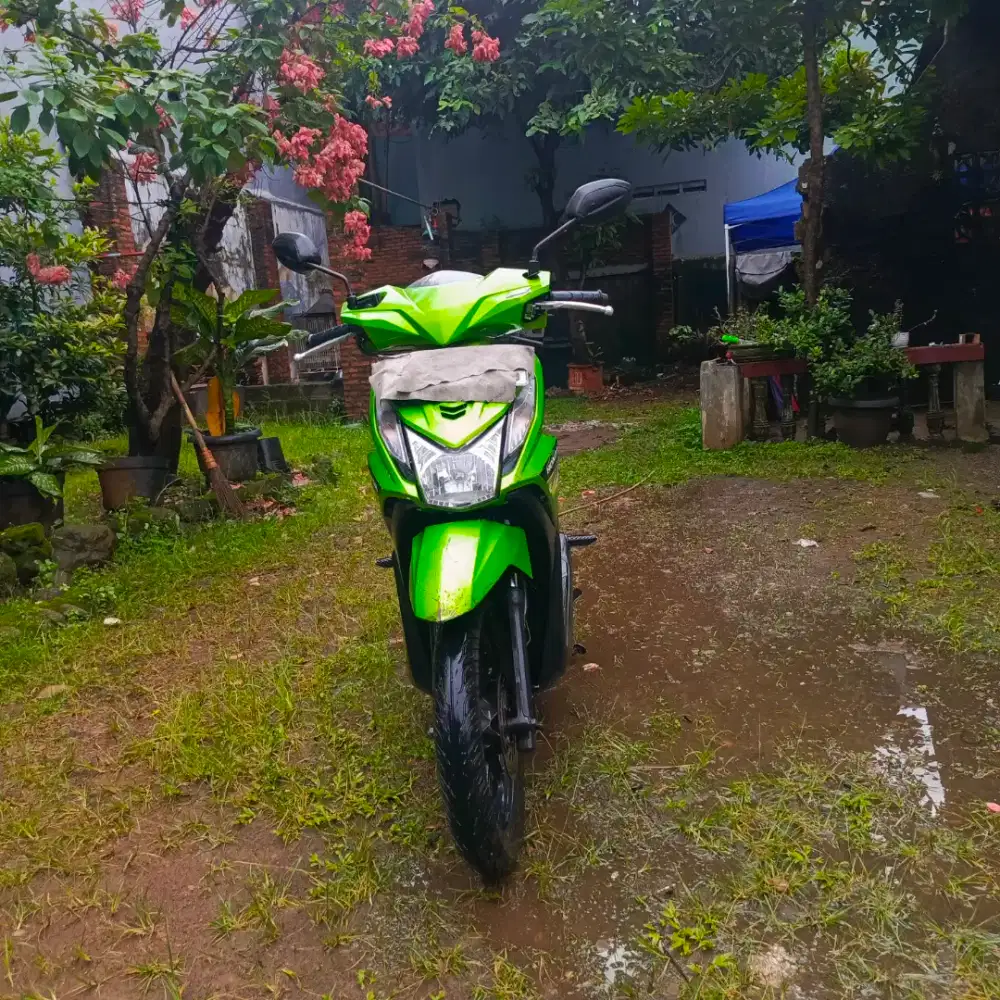 Beat 2013, pemakaian pribadi