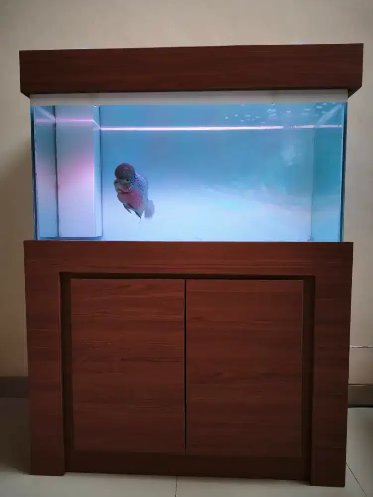 Dijual Aquarium filter Sum ukuran 100×40x50.