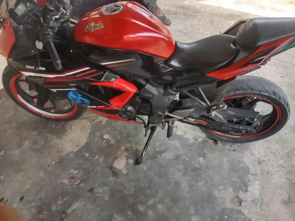 Motor Ninja 250 CC mono