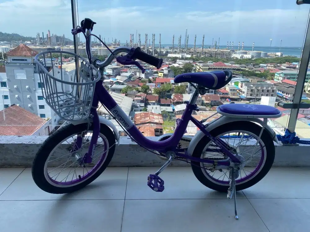 Sepeda anak evergreen mini 16 E-swan