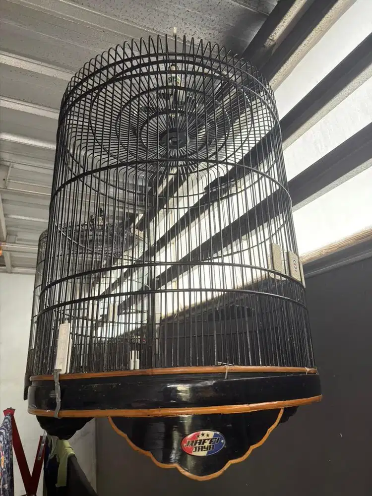 kandang sangkar murai batu no 1