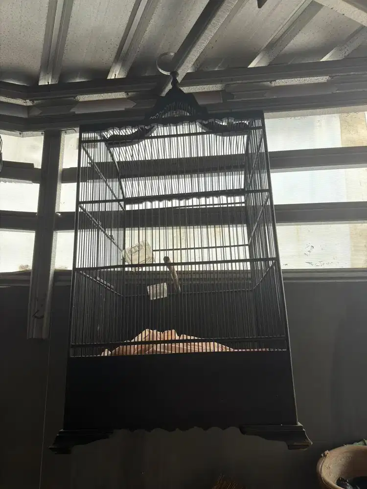 kandang sangkar burung kosan no 2