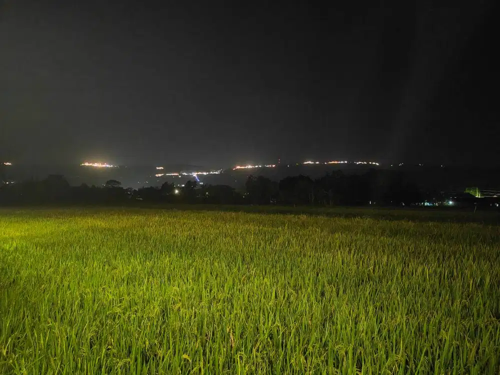 Tanah Khusus untuk Homestay atau Villa