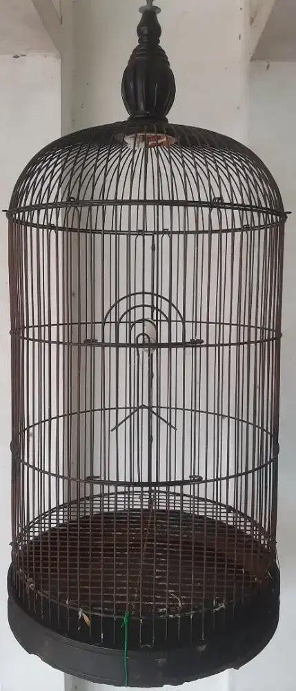 Sangkar besi lovebird