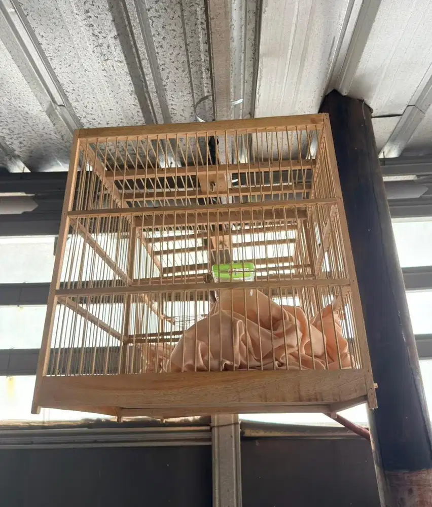 kandang sangkar burung untuk kirim kirim bisa murai ekor 20cm