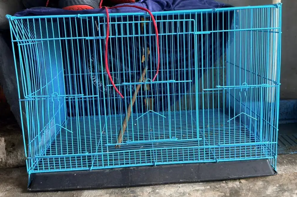 kandang burung, kucing, sugar glider, kelinci dll