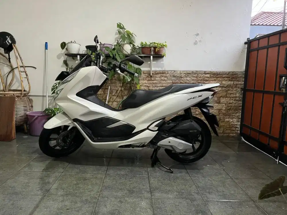 PCX 2020 150 PAJAK HIDUP
