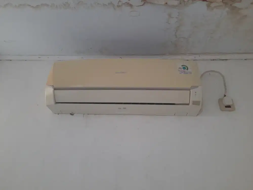 AC Sharp A5Bey 1/2 pk