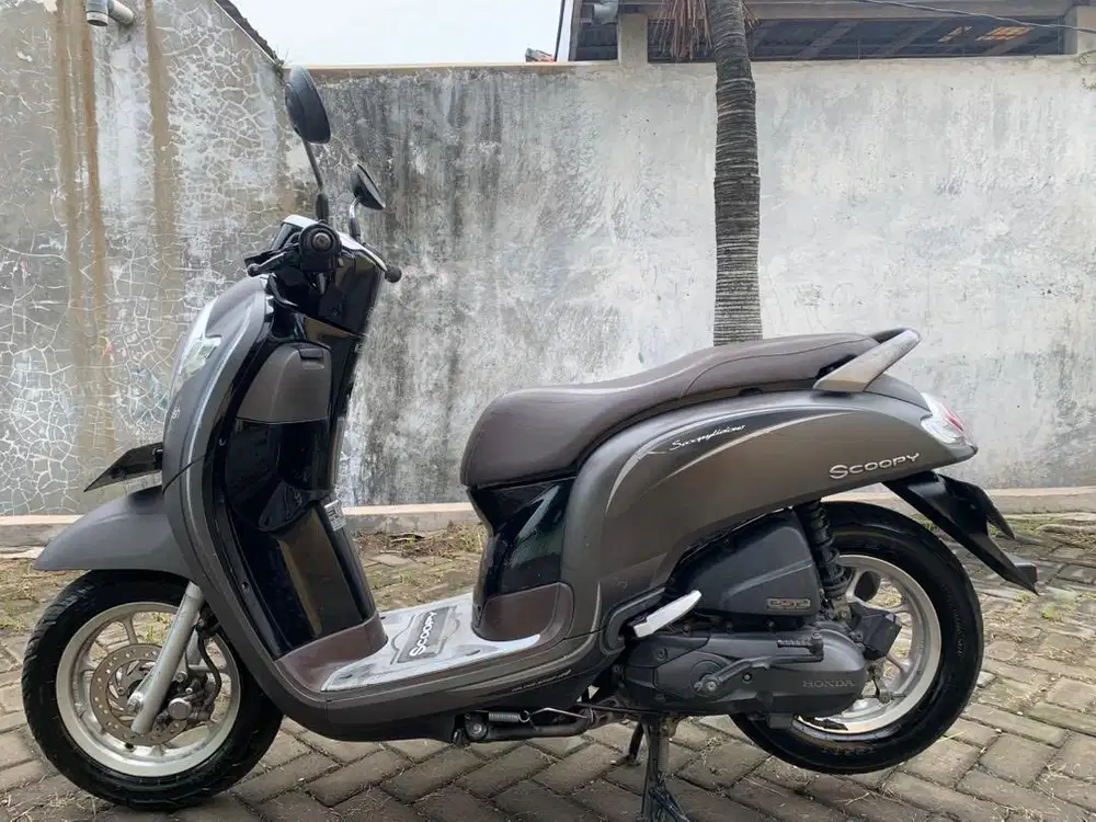 Jaul scoopy 110 thun 2018