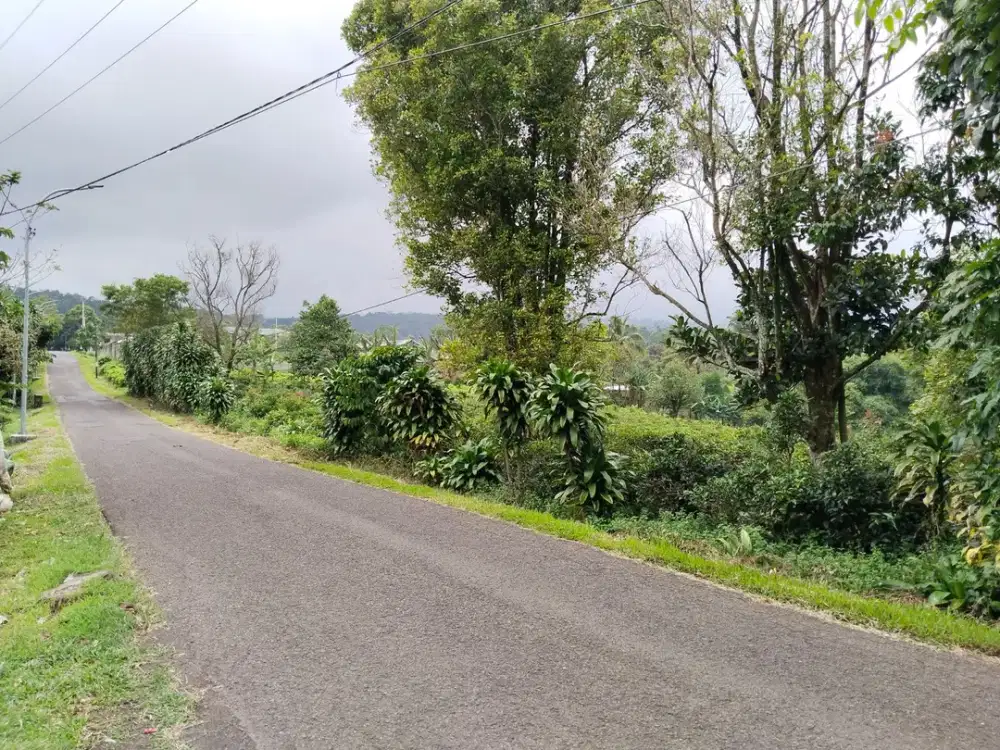 SAWAH PRODUKTIF DIJUAL ‼️ Pemandangan Alam Terbuka
