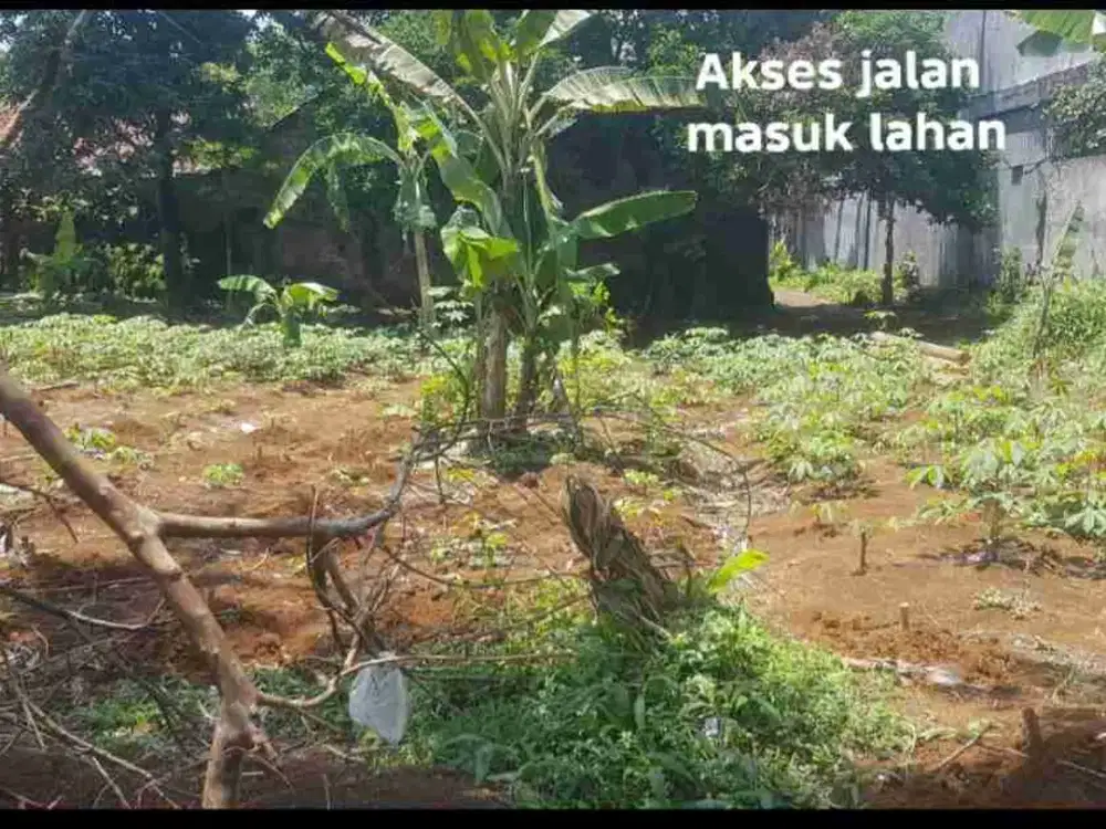 Di Jual Lahan tanah 5000 mtr Curug bogor