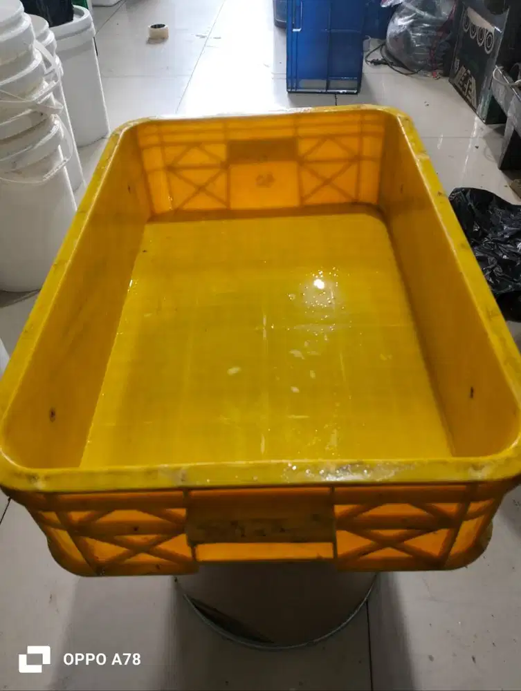 box rabbit magot tipe 3322 sb