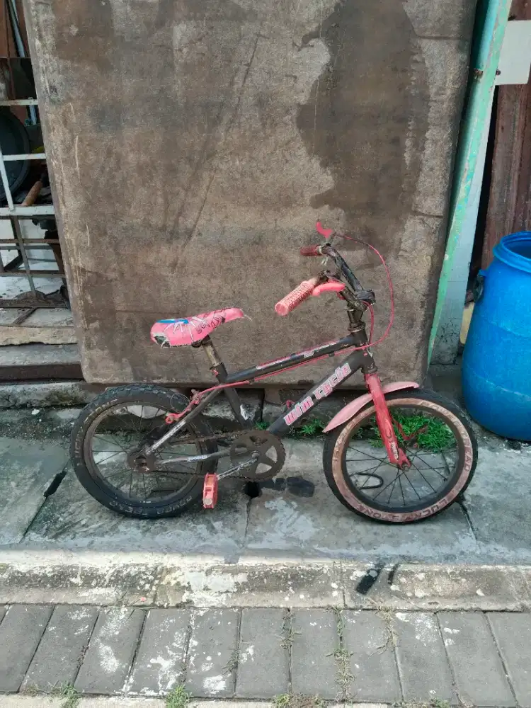 Sepeda Wim cycle new