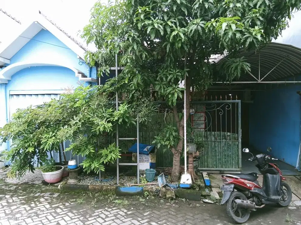 Disewakan/Dikontrakkan Rumah Tinggal