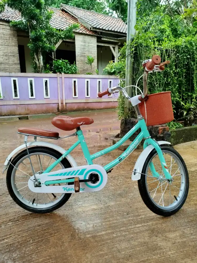 Sepeda anak perempuan