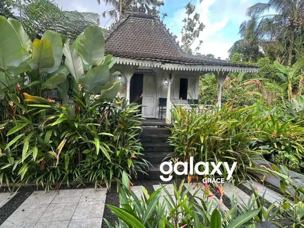 DIJUAL VILLA JOGLO DI PUHU PAYANGAN GIANYAR, BALI