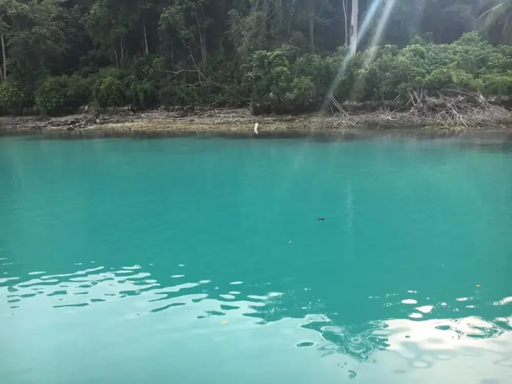 Dijual Lahan Teluk Harapan Pantai Maratua Kalimantan