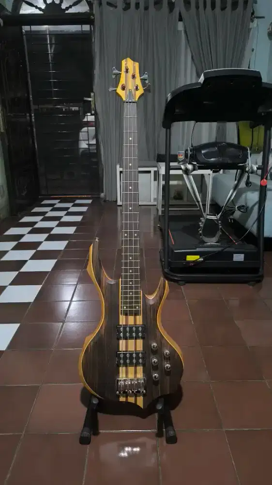 Bass Elektrik CELIA, Rare Item