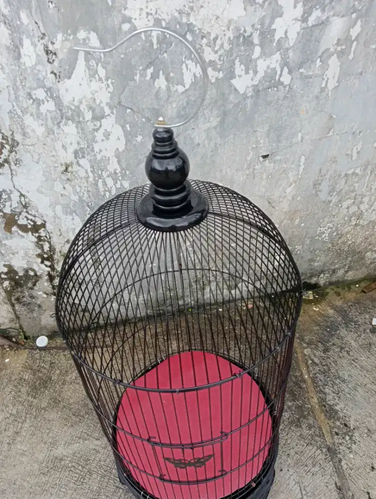 Mulus lus lus baru masih bau toko pintu tengah