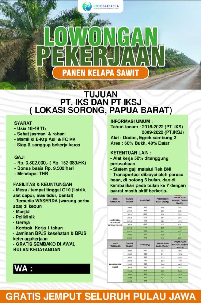 Lowongan Pekerja Perkebunan Kelapa Sawit