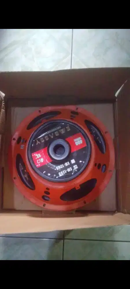 Speaker subwoofer embas 12in