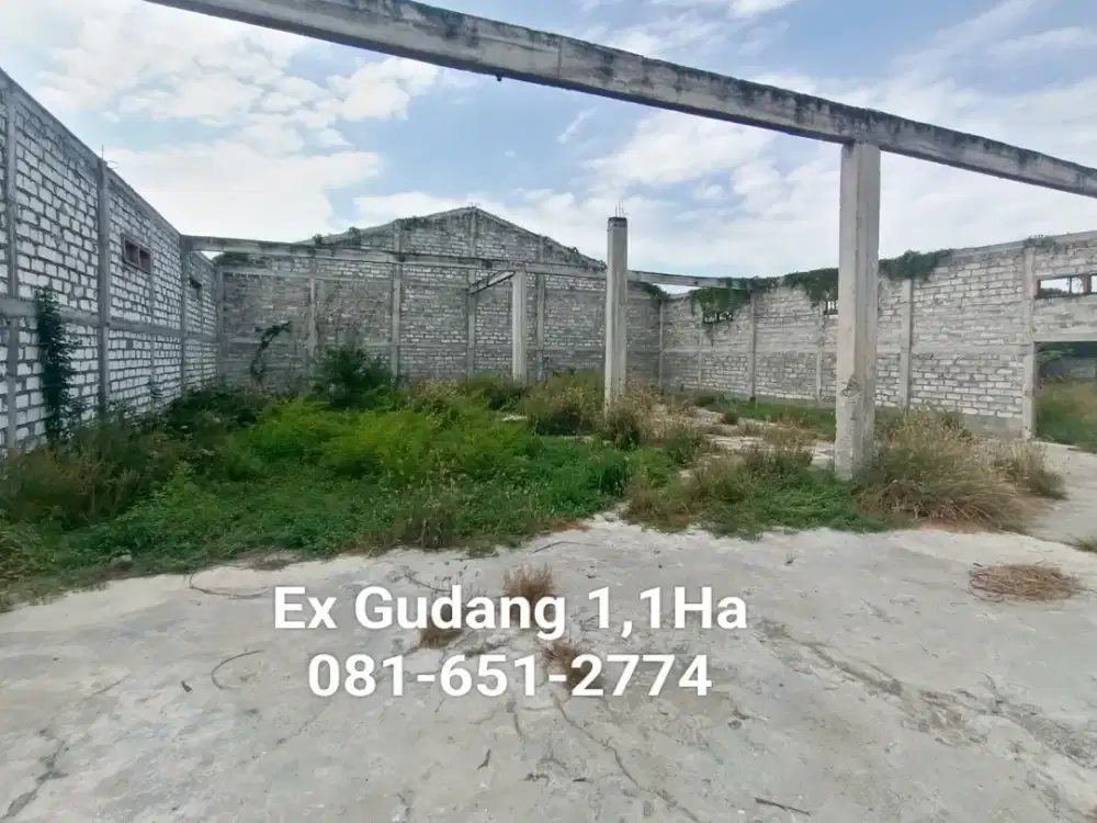 Tanah di Cerme Gresik