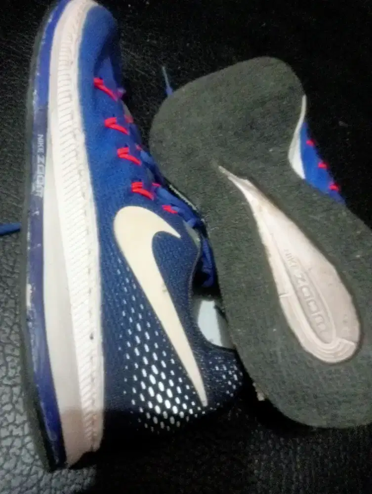 Nike Zoom Fast Runner