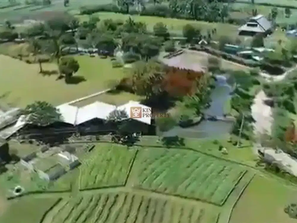 SHM! Dijual Tanah 6 Hektar Pilihan Tepat untuk Investasi Potensi untuk pengembangan pertanian, wisata,Akses jalan sudah dibuat  Tersedia jaringan list