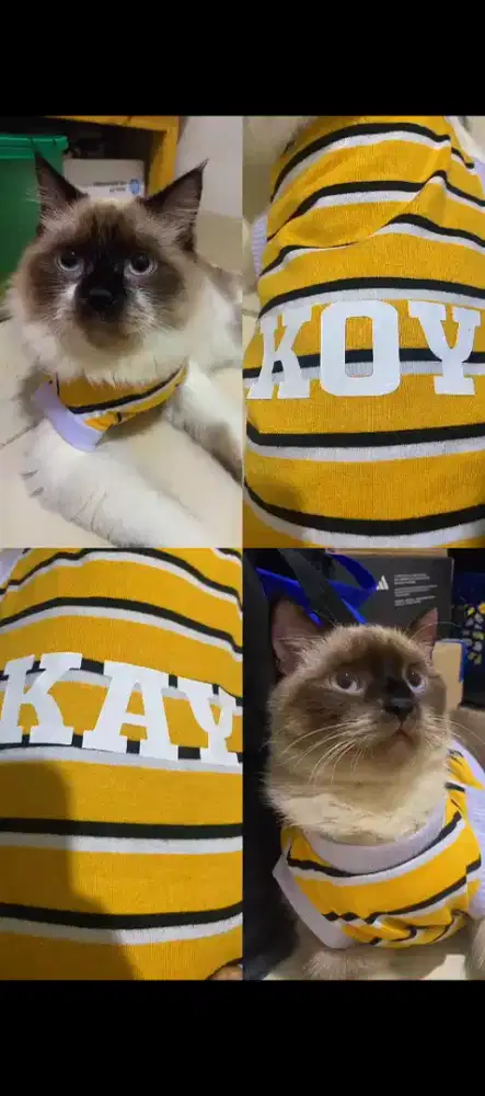 Lepas Adopt Himalaya