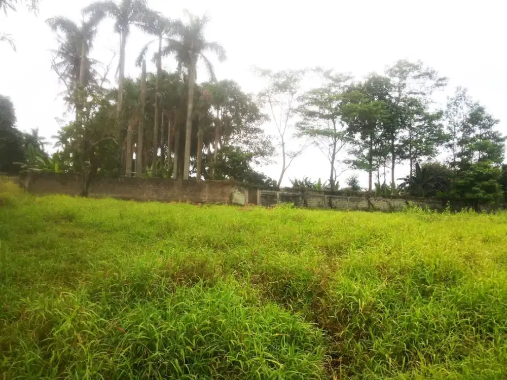 Kesempatan Emas! Tanah Strategis Dijual di Sukatani, Depok