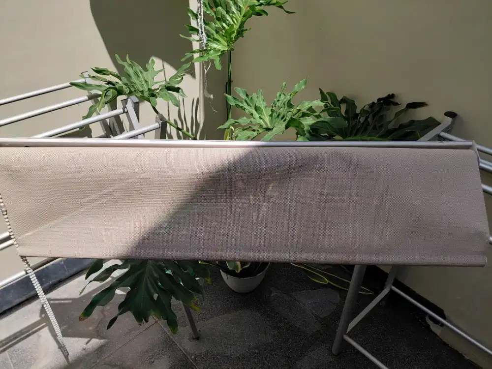 Gorden Kantor Coklat Tarik