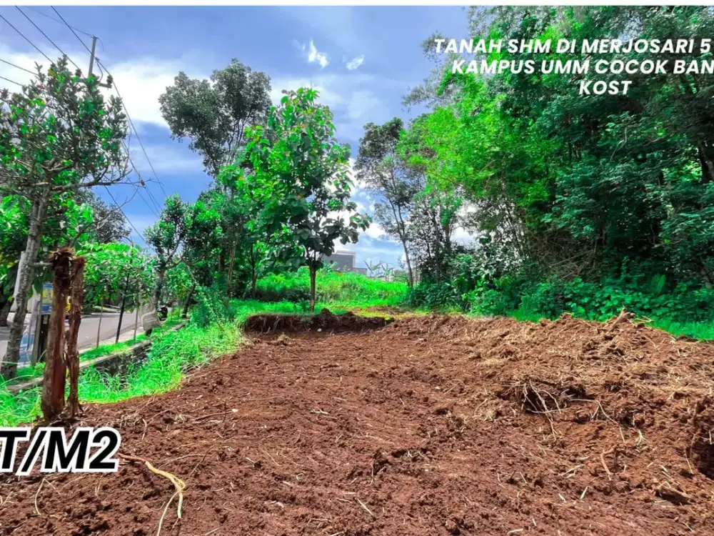 Lokasi Sebelah IIBS Thursina SHM Tanah Strategis Pinggir Jalan