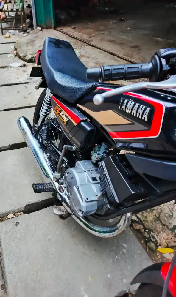 Rxs up king gnatengg