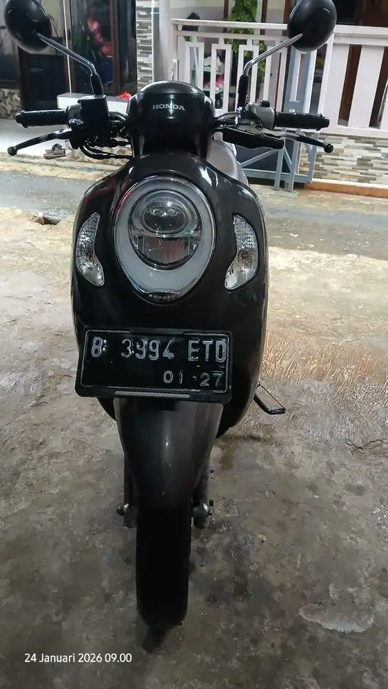 Honda Scoopy Stylish 2022