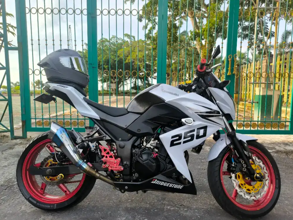 Kawasaki Z250 tahun 2013