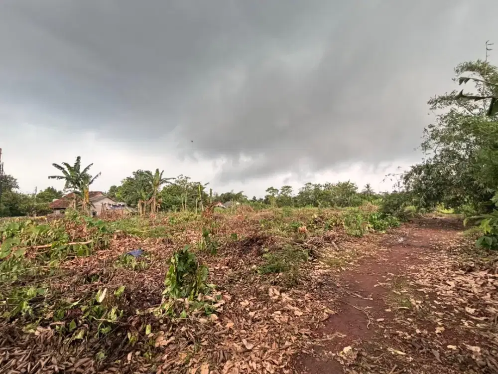 Area BSD Barat, Kavling SHM 1 Juta-an Tepi Jalan. Bisa Cicil 12x