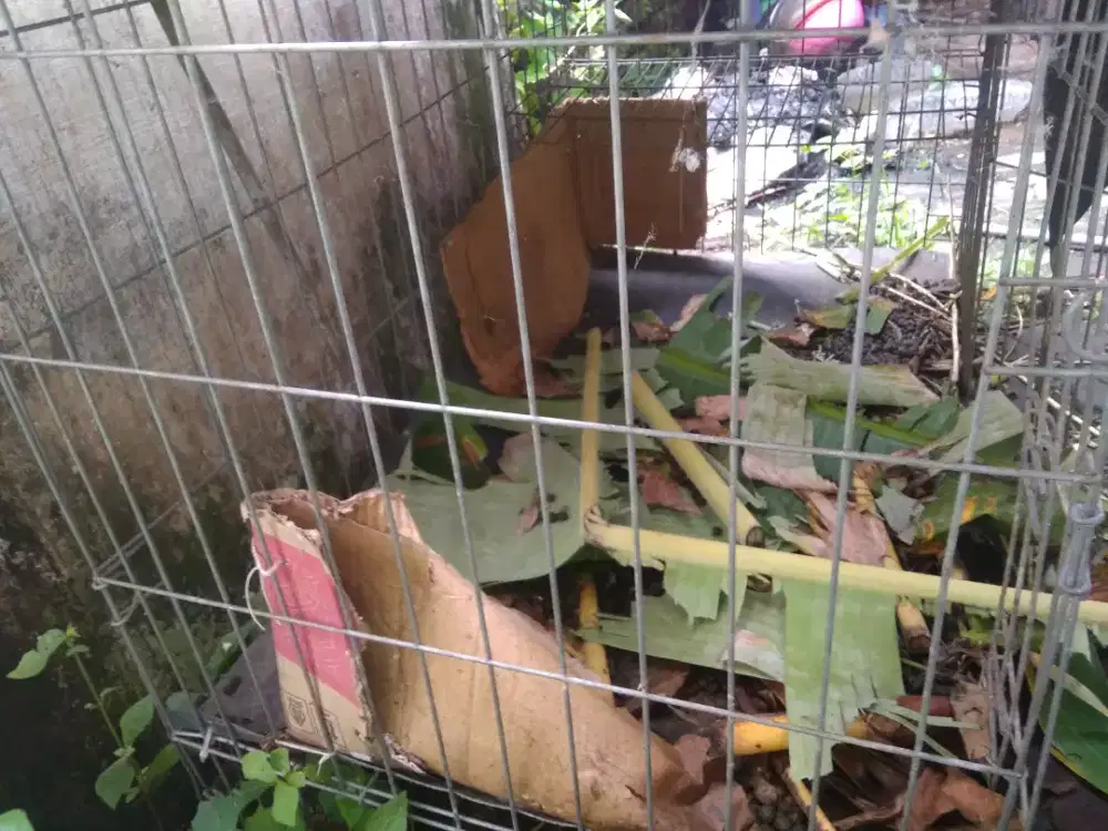 Kandang besi hewan peliharaan