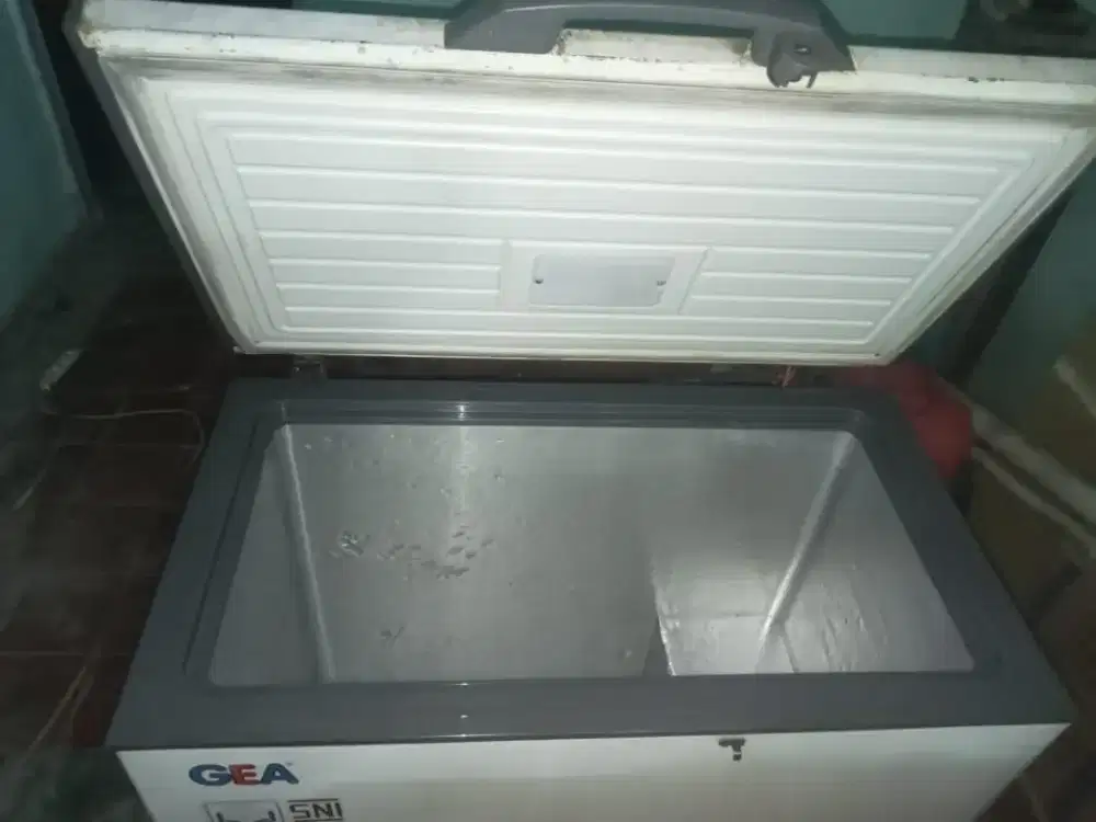 Gea Freezer box 220L