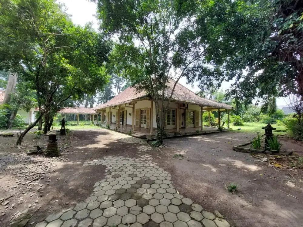 Tanah Luas SHM Dijual Cepat Dalam Ringroad di Pogung Ringroad Utara